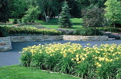Commercial Landscaping Maintenance